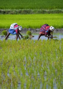 INDIA - Jan. 31, 2011 Lupe Archuleta modeling pearl necklace.