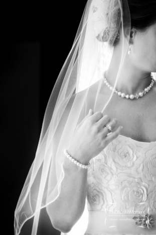 Brittney Trapp and Mark Davenport wedding at Middleton Place in Charleston, SC