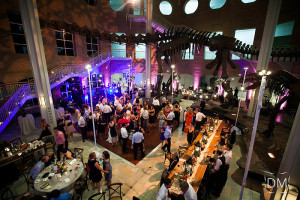 Fernbank Museum Wedding reception overall