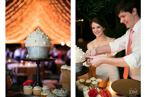 Cupcake Wedding Cake Barnsley Garden Resort wedding ideas