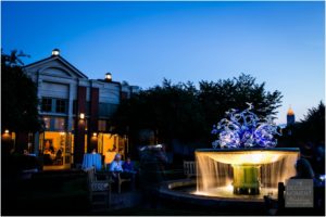 Atlanta Botanical Gardens Wedding, The Decisive Moment Photography