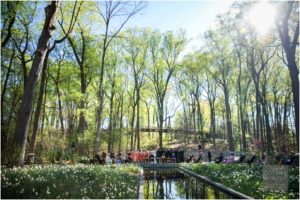 Atlanta Botanical Garden Atlanta Wedding Decisive Moments Photography