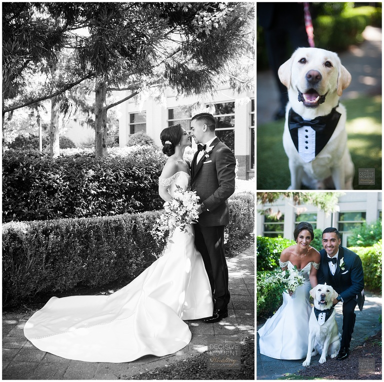 Bride and groom take photos with their dog before wedding shot by the decisive moment wedding photojournalism